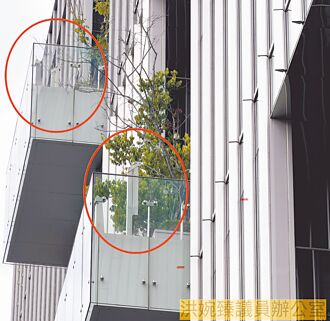 大巨蛋影城植栽 挨批阻礙逃生