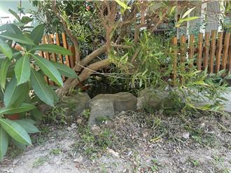 新竹托嬰中心女童溺斃生態池　縣府調查將開罰