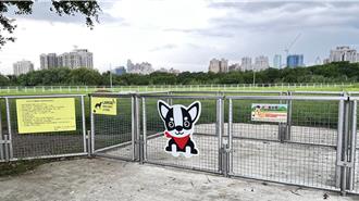 新北拟打造首座宠物戏水公园 动保处将评估河滨地点