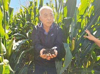 梨樹模式 東北黑土地保衛戰