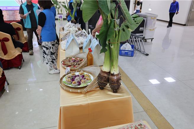 苗栗县铜锣乡中平村近年以栽植槟榔心芋头着称，秋季正是芋头收成季节。（谢明俊摄）