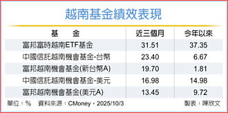 越南明年有望納新興市場吸金