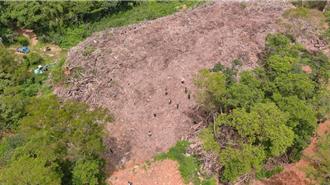 苗栗保育山坡成廢枝場！面積達1座足球場 12人遭起訴