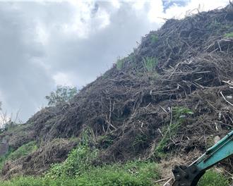 萬噸廢樹枝塞滿三義山區！地主放行狂賺200萬  12人遭起訴
