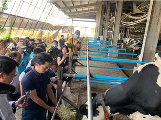 蔣萬安承諾當酪農靠山！將「生生喝鮮奶」擴大至國高中生