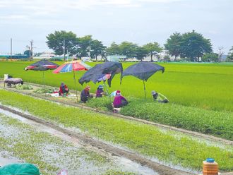 酷酷新工作「植物診療師」 首屆國考通過率55％