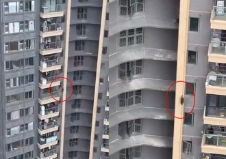 猴哥大鬧社區！高樓攀水管覓食 住戶驚呼「比電梯還快」