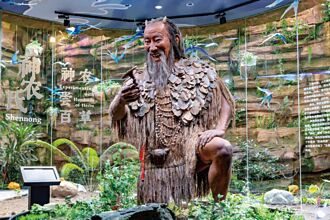 横琴中医药馆 解锁草本奥秘