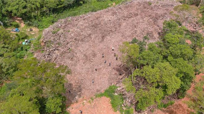 环检警调查发现，17家清运公司以每车2500至4000元代价予张姓地主，将废树枝弃置在苗栗县三义乡一处山坡地保育区，总量高达1万3000公吨，相当于一座足球场大小。（环境部提供）