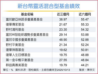 台幣混合基金 攻守兼備