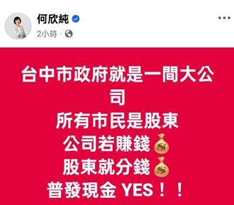 獲徵召參選中市長  何欣純喊話盧市府「普發現金」
