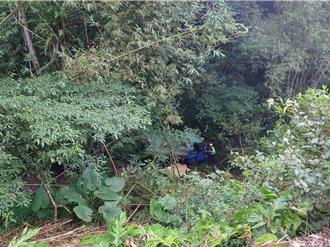 坪林山區小貨車翻落山坡　駕駛脫困意識清醒