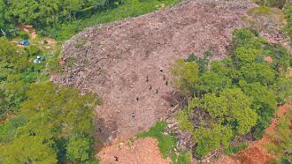 棄置1.3噸廢樹枝 主嫌撈200萬求刑5年