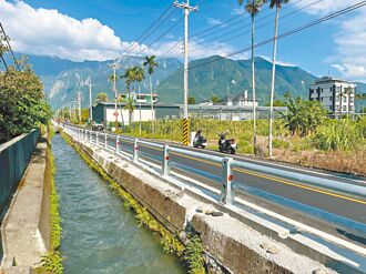 花蓮 老樹退場 太昌路整修道安升級