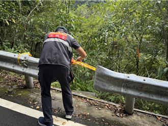 新北坪林登山客7人遭蜂螫 所幸均無生命危險
