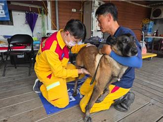 高雄搜救犬飼養費六都倒數 陳其邁令明年增編特搜預算