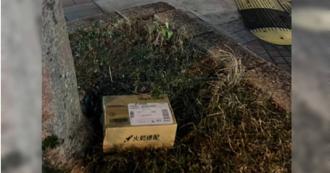 包裹直接被丟樹下 客服鬼打牆問「有遺失嗎？」 網教1招解決
