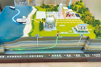 中大碳封存示範場 拚落腳桃科