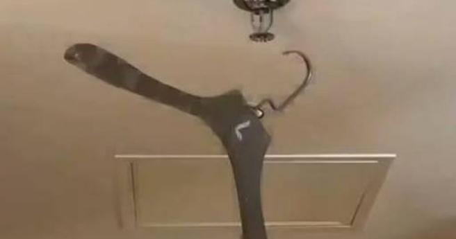 大陆一名旅客近日入住酒店时，因将衣物挂在客房内的消防喷淋头上，意外导致喷淋系统启动。（图／翻摄自微博）