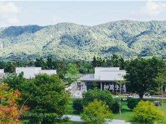 神農生活分店落腳花蓮 與理想大地合作