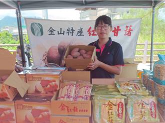 金山區甘藷產量 10年產量成長近4成