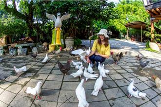 台南正式「超高齡」！120梯「長輩共遊趣」 早去午回無負擔