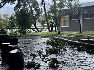 新北8校採预防性停课！乌来信贤种籽实小明日停课一天