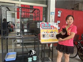 春夏「奶貓潮」又起！動保處籲TNVR是源頭減少浪貓關鍵