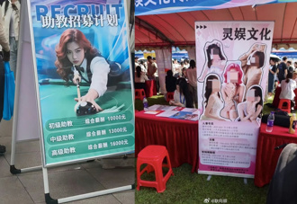 名校淪陷？校園招聘「擦邊主播」　陸頂大就業把關遭質疑