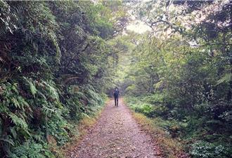 久等了！連遭雙颱侵襲 浸水營古道「封3個月」22日全線開放