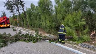 颱風外圍＋東北季風共伴效應 澎湖吹10級強風海運全線中斷