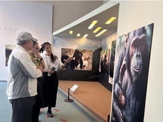 缅怀珍古德！科博馆办快闪展 发布「寻人启事」找28年前小作家