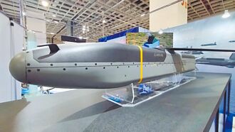 美軍火商：打造台成超多刺豪豬