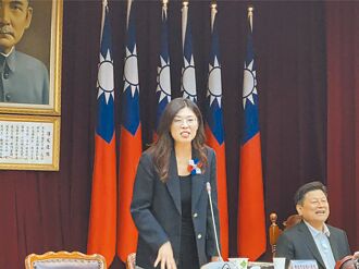 郑丽文开启国民党希望之门
