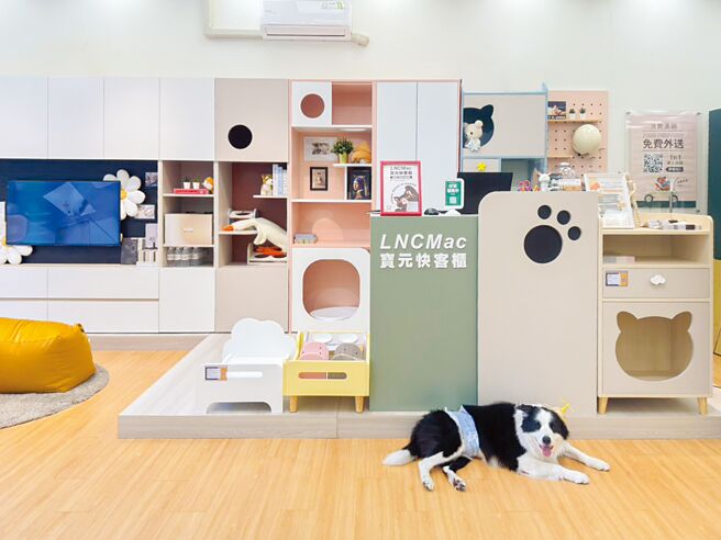 「寶元快客櫃」攜手萬達寵物「寵物公園」，打造全新「人寵共享體驗門市」，以低甲醛板材與安全圓角設計，呈現兼具美感與功能的共居空間，掀起人寵共享居家的設計新潮流。圖／業者提供