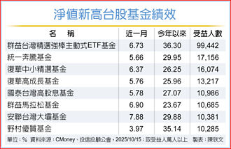 主動式台股基金 績效紅不讓
