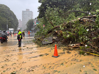 新北汐止塞爆！康寧街「土石崩落、路树倒塌」 边坡2户急撤离