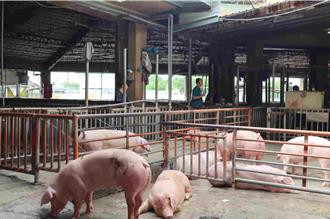 嘉义市肉品市场急喊卡！全台停宰5天 承销商态度观望