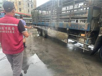 新北養豬場無異常 市府嚴查廚餘流向防非洲豬瘟