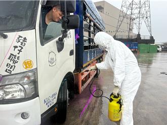 嚴防非洲豬瘟 張善政下令10道防線嚴陣以待