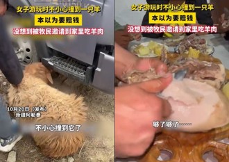 女自駕遊撞羊奇遇！ 主人霸氣免賠還請吃「現宰全羊宴」