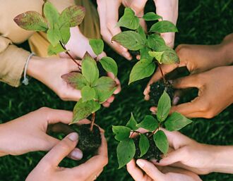 綠色投融資規模 逾4.6兆