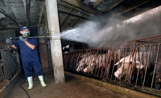 非洲豬瘟「冷凍能存活1000天」 他揭台灣失守代價