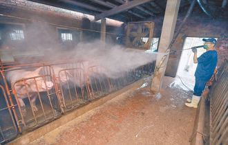 挡猪瘟南下！黄伟哲拨千万成立「2大应变小组」 全程防线启动