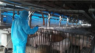 彰化急祭8措施防堵非洲豬瘟 33養豬場廚餘稽查結果出爐