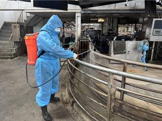 滴水不漏！苗栗急访苑里、通霄30处养猪场 肉品市场全消毒