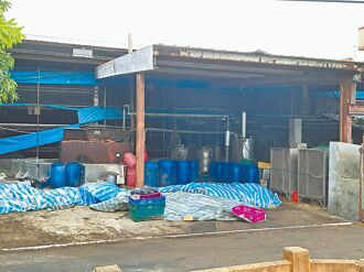 雲林早禁廚餘養豬 屏彰急應變