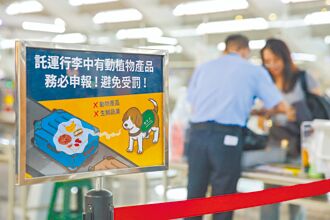 病源9成来自厨余 病毒株似越南