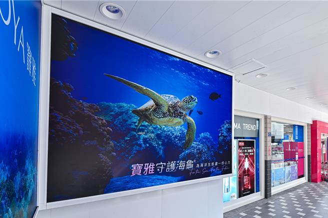 2025年10月23日澎湖县／宝雅澎湖北辰店，骑楼灯箱主视觉以宝雅与海龟同行为题，融入澎湖海岸线轮廓。（澎科大提供／许逸民澎湖传真）