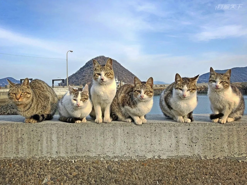 同一個家族成員排排坐。(行遍天下提供/圖:菜菜子)